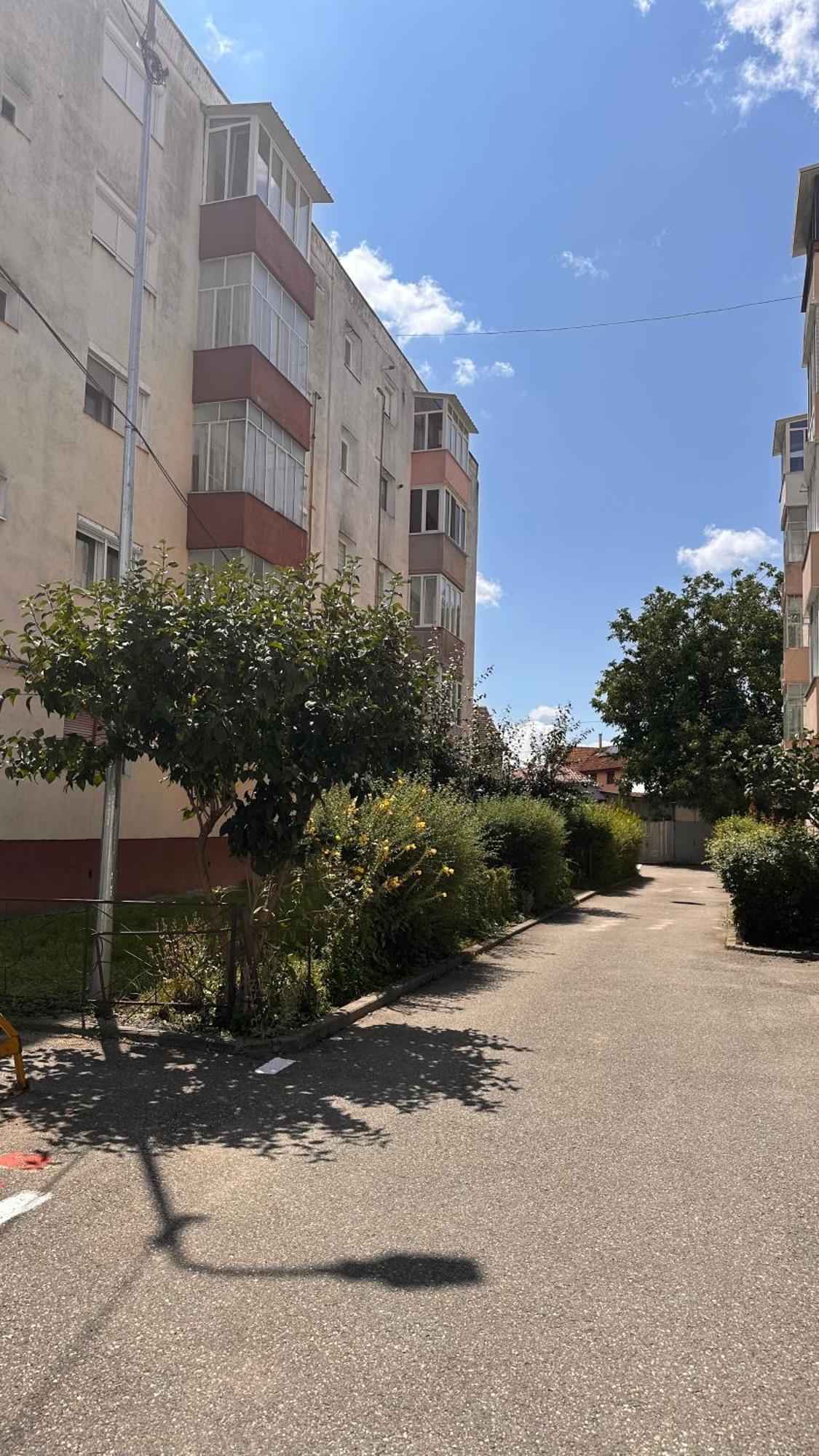 Dream House Apartment Făgăraş Екстериор снимка